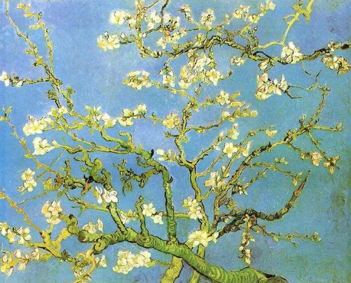 Vincent Van Gogh Blossomong Almond Tree France oil painting art